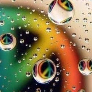 Meet your Posher, Chayito